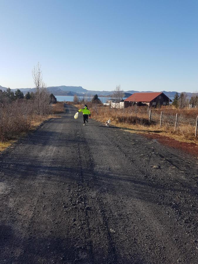 Thingvellir Lake Cottage Veithilundur Eksteriør bilde
