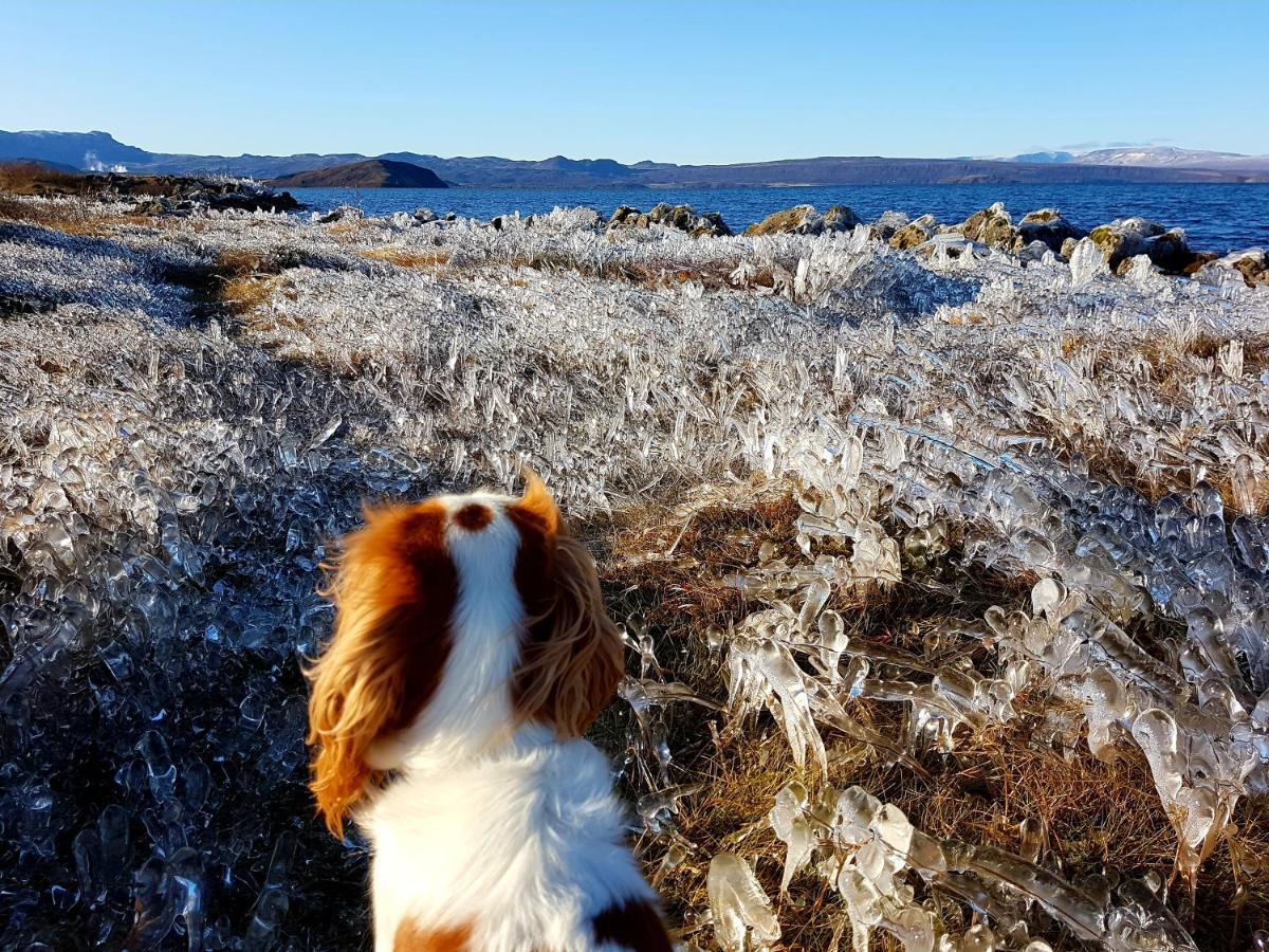 Thingvellir Lake Cottage Veithilundur Eksteriør bilde