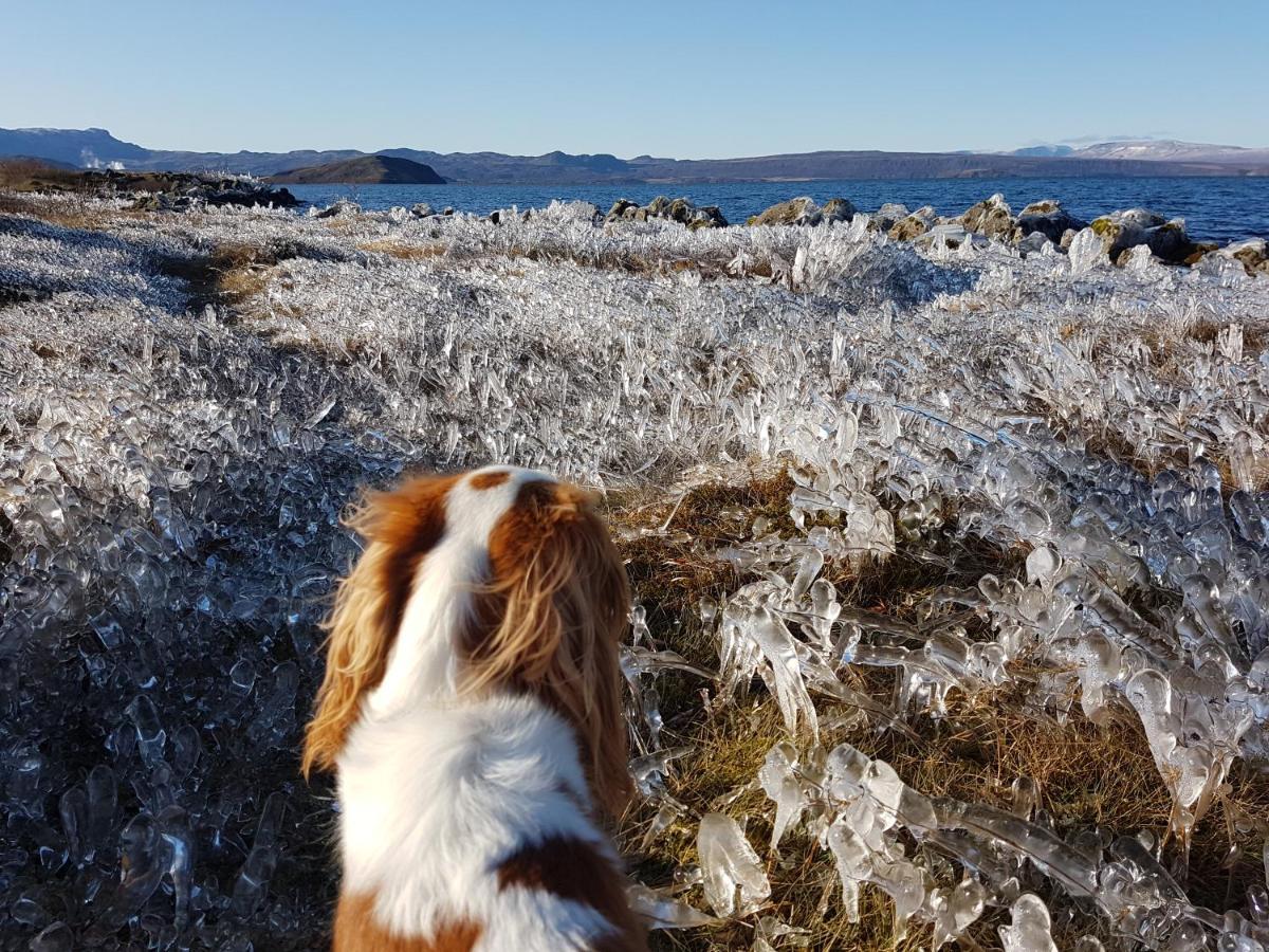 Thingvellir Lake Cottage Veithilundur Eksteriør bilde