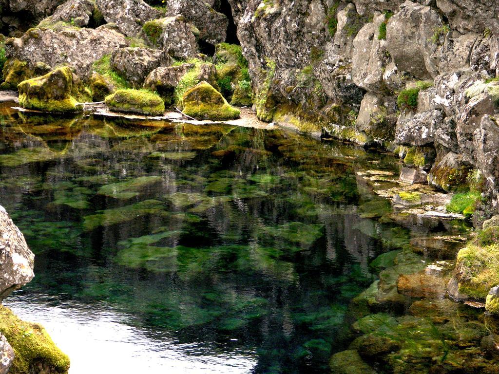 Thingvellir Lake Cottage Veithilundur Rom bilde